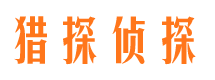 延津市侦探调查公司